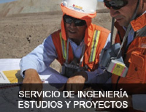 Servicio de Ingeneria Estudios y Proyectos